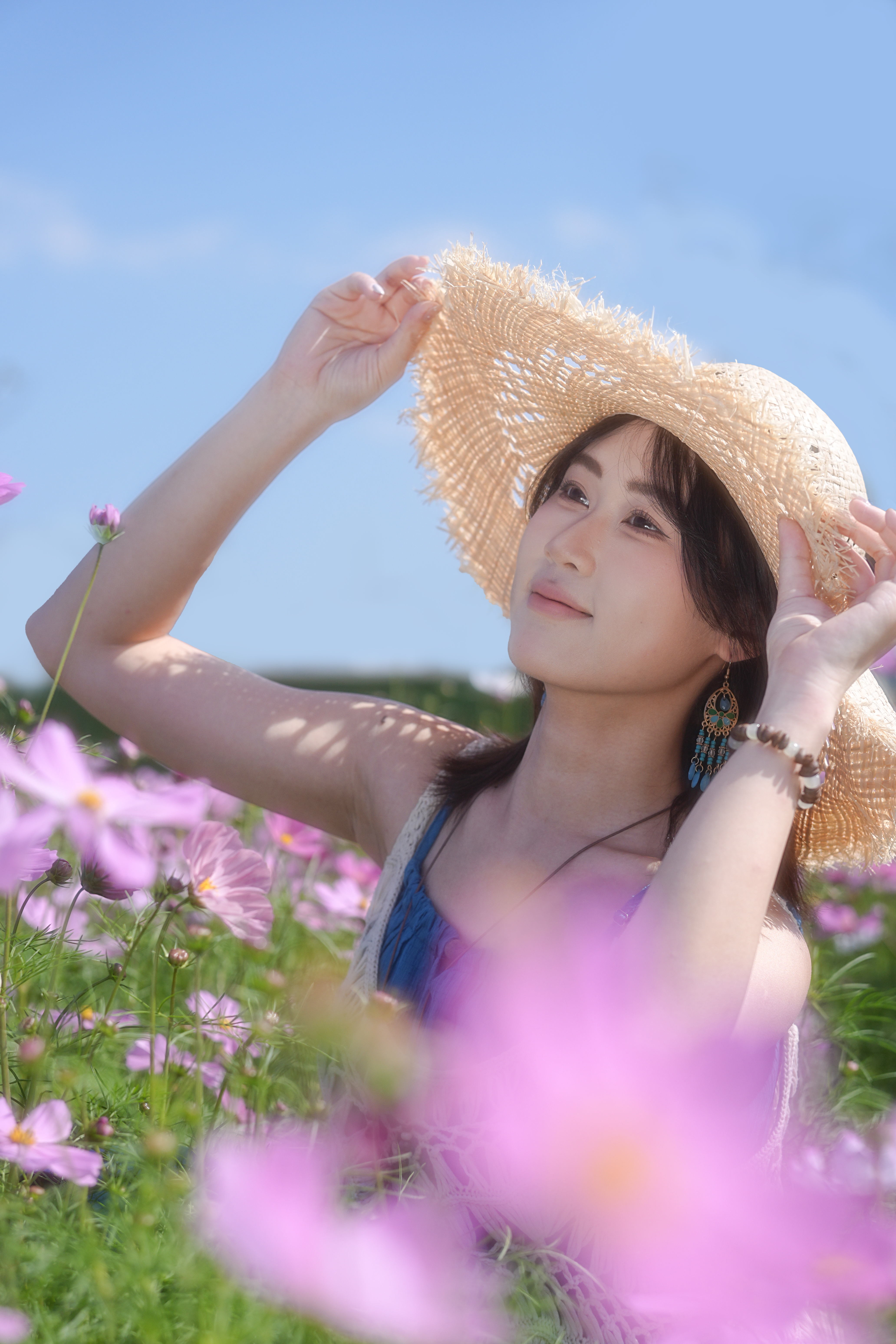 格桑花写真