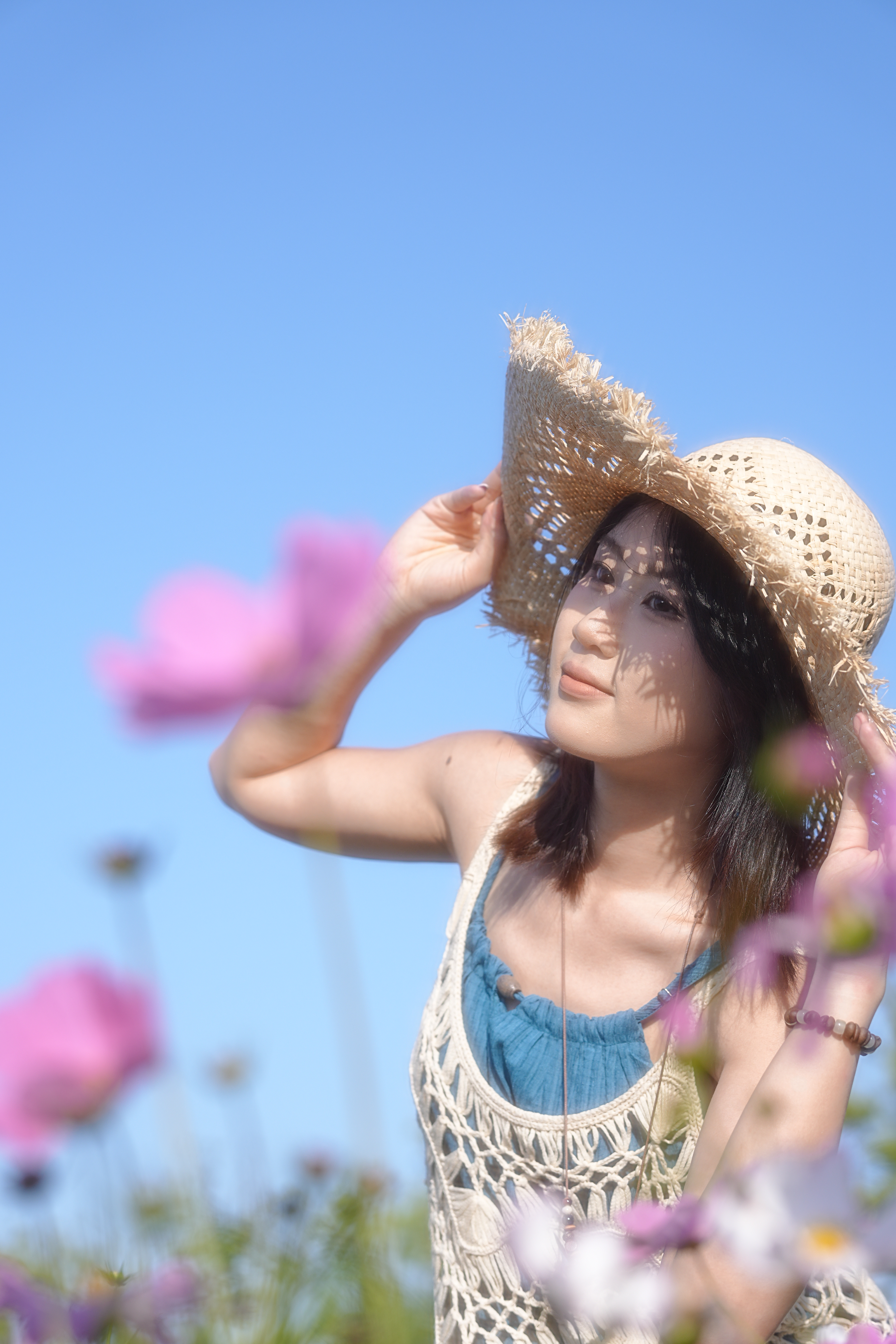 格桑花写真