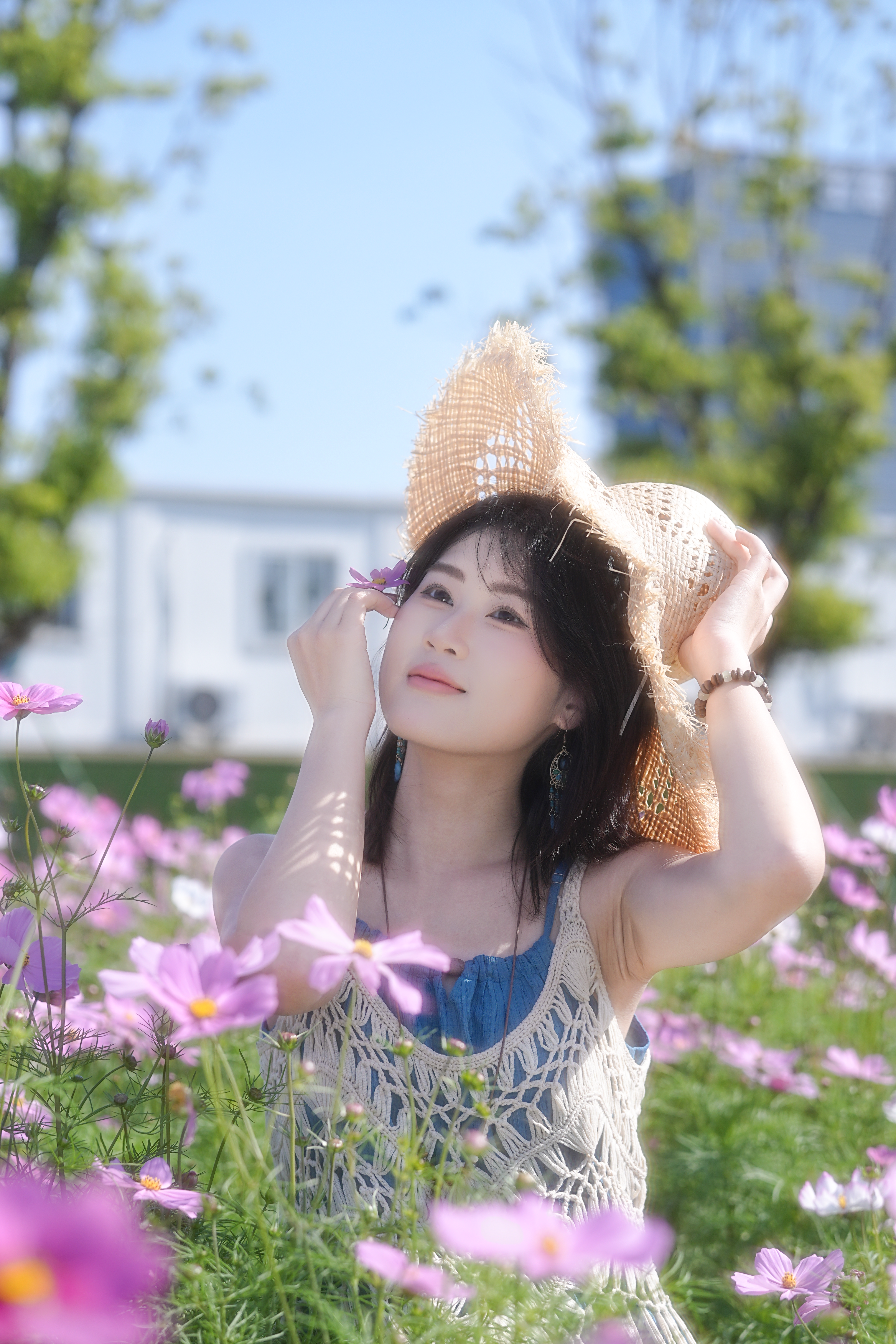 格桑花写真