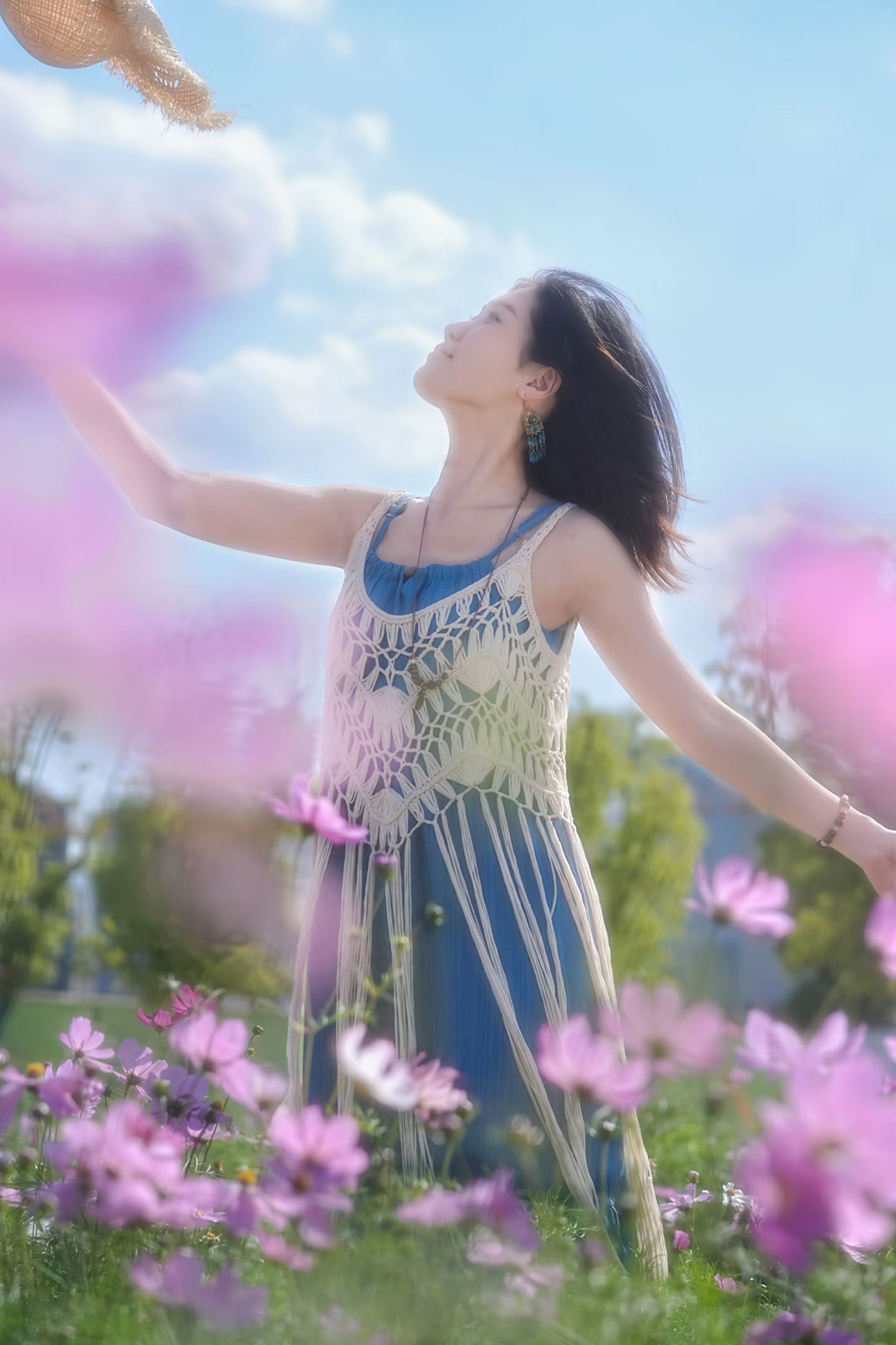 格桑花写真